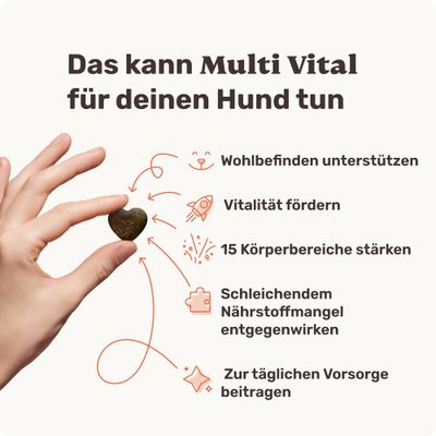 mammaly - Multi Vital® - Multivitamin-Snacks für Hunde