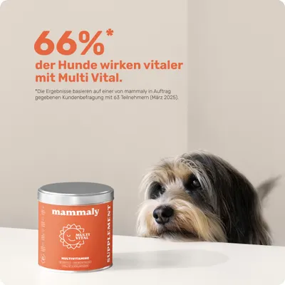 mammaly - Multi Vital® - Multivitamin-Snacks für Hunde mammaly - Multi Vital® - Multivitamin-Snacks für Hunde