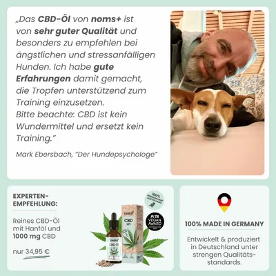 10% CBD Tropfen für Hunde