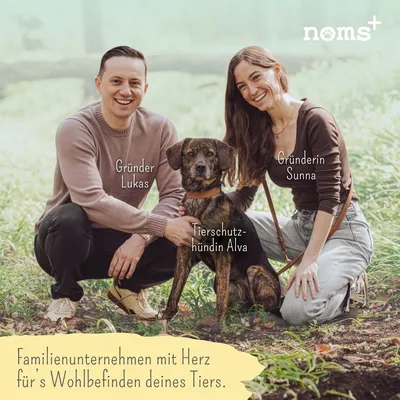 10% CBD Tropfen für Hunde