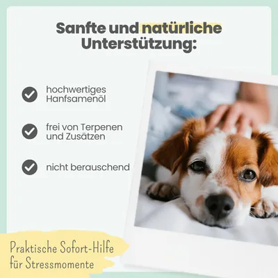 10% CBD Tropfen für Hunde