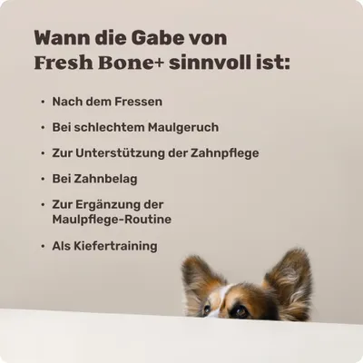 mammaly - Fresh Bone - Zahnpflege-Kauknochen für Hunde