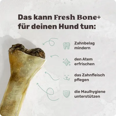 mammaly - Fresh Bone - Zahnpflege-Kauknochen für Hunde