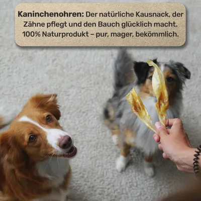 Kaninchen-Ohren ohne Fell  10-12 Stück - Schonend getrockneter Kauartikel