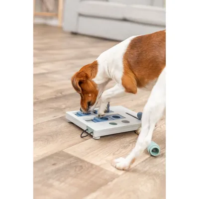 TRIXIE Mini Mover Strategiespiel TRIXIE Mini Mover Strategiespiel