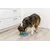 TRIXIE Slow Feeding Set de Table Pillars, en TPE, 35 cm, Bleu - 25038 TRIXIE Slow Feeding Set de Table Pillars, en TPE, 35 cm, Bleu - 25038