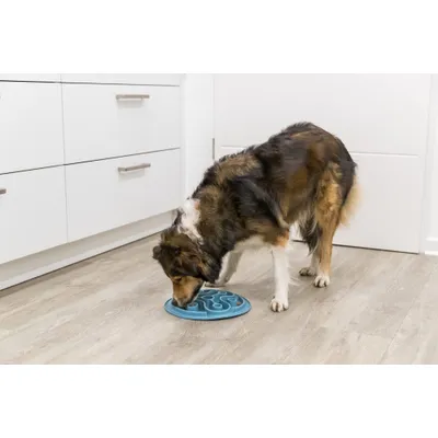 TRIXIE Slow Feeding Set de Table Pillars, en TPE, 35 cm, Bleu - 25038 TRIXIE Slow Feeding Set de Table Pillars, en TPE, 35 cm, Bleu - 25038