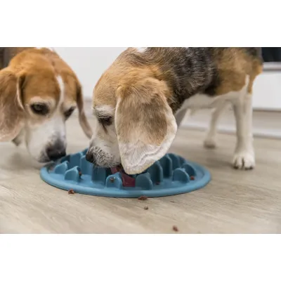 TRIXIE Slow Feeding Set de Table Pillars, en TPE, 35 cm, Bleu - 25038