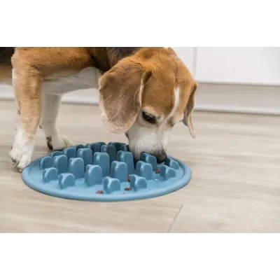 TRIXIE Slow Feeding Set de Table Pillars, en TPE, 35 cm, Bleu - 25038 TRIXIE Slow Feeding Set de Table Pillars, en TPE, 35 cm, Bleu - 25038