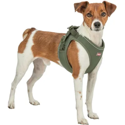 TRIXIE Atmungsaktives Hundegeschirr mit verstellbarem Bauchgurt