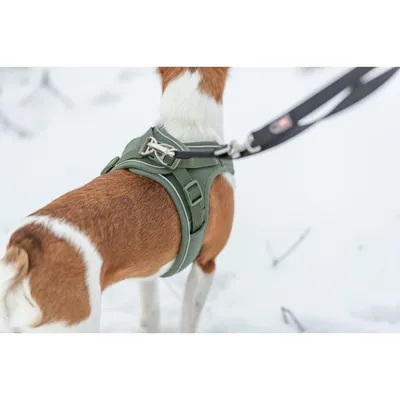 TRIXIE Atmungsaktives Hundegeschirr mit verstellbarem Bauchgurt