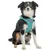 TRIXIE Atmungsaktives Hundegeschirr mit verstellbarem Bauchgurt TRIXIE Atmungsaktives Hundegeschirr mit verstellbarem Bauchgurt