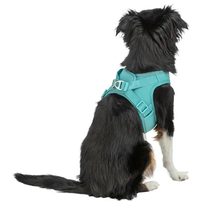 TRIXIE Atmungsaktives Hundegeschirr mit verstellbarem Bauchgurt TRIXIE Atmungsaktives Hundegeschirr mit verstellbarem Bauchgurt