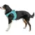 TRIXIE Atmungsaktives Hundegeschirr mit verstellbarem Bauchgurt TRIXIE Atmungsaktives Hundegeschirr mit verstellbarem Bauchgurt