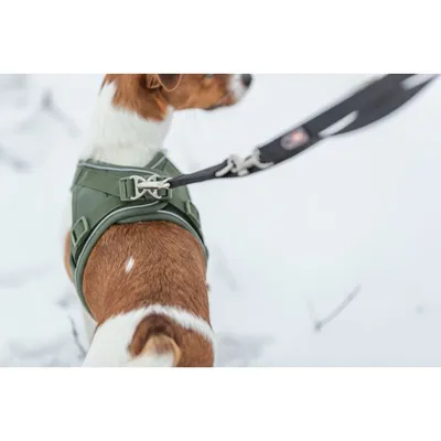 TRIXIE Atmungsaktives Hundegeschirr mit verstellbarem Bauchgurt TRIXIE Atmungsaktives Hundegeschirr mit verstellbarem Bauchgurt