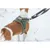 TRIXIE Atmungsaktives Hundegeschirr mit verstellbarem Bauchgurt TRIXIE Atmungsaktives Hundegeschirr mit verstellbarem Bauchgurt