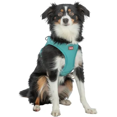 TRIXIE Atmungsaktives Hundegeschirr mit verstellbarem Bauchgurt TRIXIE Atmungsaktives Hundegeschirr mit verstellbarem Bauchgurt