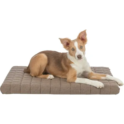 TRIXIE Orthopädische Matratze Caliente für Hunde und Katzen TRIXIE Orthopädische Matratze Caliente für Hunde und Katzen