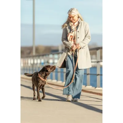 TRIXIE Hundeleine aus Nubukleder, unterfüttert und dreifach verstellbar TRIXIE Hundeleine aus Nubukleder, unterfüttert und dreifach verstellbar