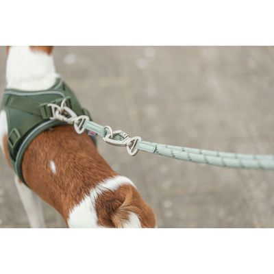 TRIXIE Verstellbare Hundeleine Summit mit Bergsteiger-Karabiner