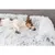 TRIXIE Polster-Schondecke Harvey TRIXIE Polster-Schondecke Harvey