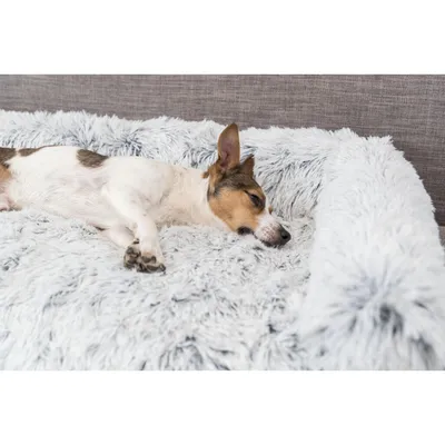 TRIXIE Polster-Schondecke Harvey TRIXIE Polster-Schondecke Harvey