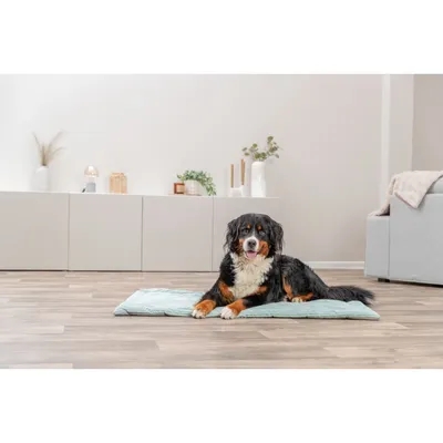 TRIXIE Liegematte Jonna TRIXIE Liegematte Jonna
