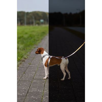 TRIXIE Premium Reflect H-Geschirr
