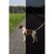 grafit, S–M, 45–60 cm/20 mm