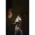 TRIXIE Premium Reflect H-Geschirr TRIXIE Premium Reflect H-Geschirr