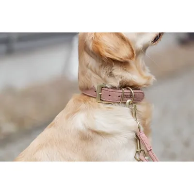 TRIXIE Pure Halsband, Leder extra breit