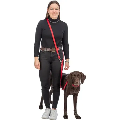 TRIXIE Premium Halsband TRIXIE Premium Halsband