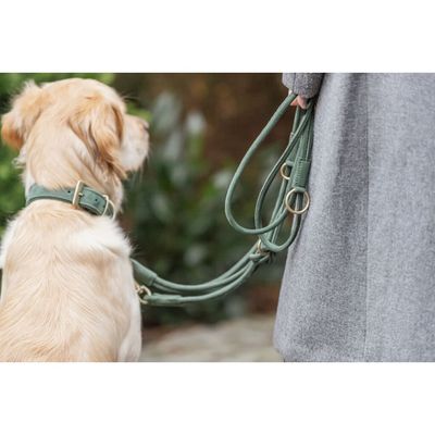 TRIXIE Pure Halsband, Leder extra breit