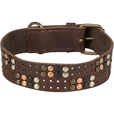 TRIXIE Rustic Fettleder-Halsband Nieten, extra breit