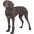 TRIXIE Pfotenschutz Walker Active Long TRIXIE Pfotenschutz Walker Active Long