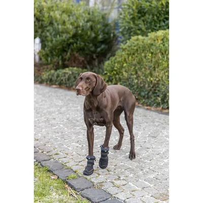 TRIXIE Pfotenschutz Walker Active Long TRIXIE Pfotenschutz Walker Active Long