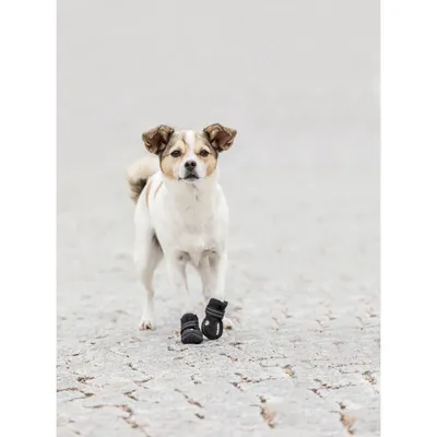 TRIXIE Pfotenschutz Walker Active TRIXIE Pfotenschutz Walker Active