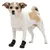 TRIXIE Pfotenschutz Walker Active TRIXIE Pfotenschutz Walker Active