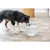 TRIXIE Aqua Clear runder Trinkbrunnen für Hunde mit Edelstahltrinkschale TRIXIE Aqua Clear runder Trinkbrunnen für Hunde mit Edelstahltrinkschale