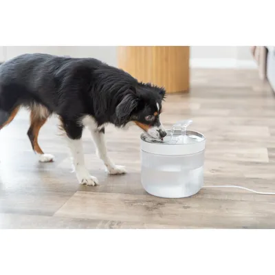 TRIXIE Aqua Clear runder Trinkbrunnen für Hunde mit Edelstahltrinkschale TRIXIE Aqua Clear runder Trinkbrunnen für Hunde mit Edelstahltrinkschale