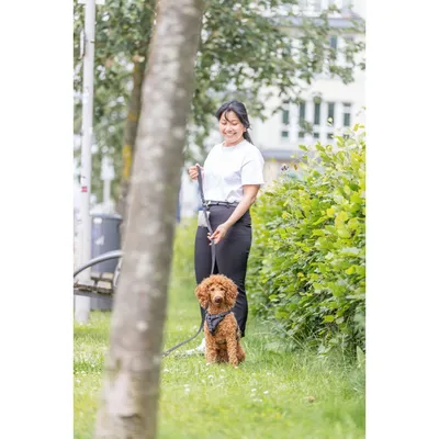 TRIXIE CityStyle Schleppleine TRIXIE CityStyle Schleppleine