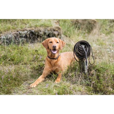 TRIXIE Rustic Fettleder Schleppleine