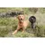 TRIXIE Rustic Fettleder Schleppleine TRIXIE Rustic Fettleder Schleppleine