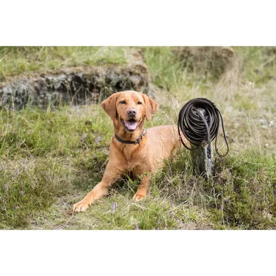 TRIXIE Rustic Fettleder Schleppleine TRIXIE Rustic Fettleder Schleppleine