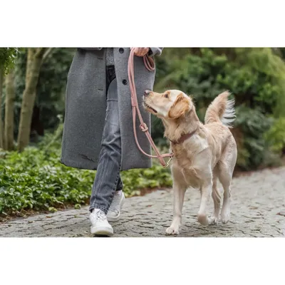 TRIXIE Pure Verlängerungsleine, Leder