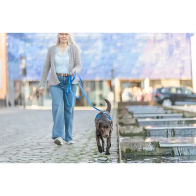 TRIXIE Easy Life Grip Schleppleine