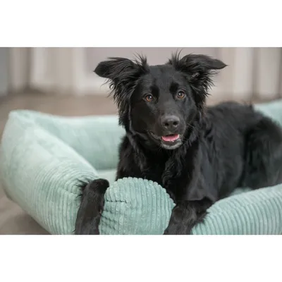 TRIXIE Orthopädisches Cord-Bett für Hunde und Katzen, Memory-Foam TRIXIE Orthopädisches Cord-Bett für Hunde und Katzen, Memory-Foam