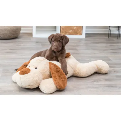 TRIXIE Ankuschelhund Benny