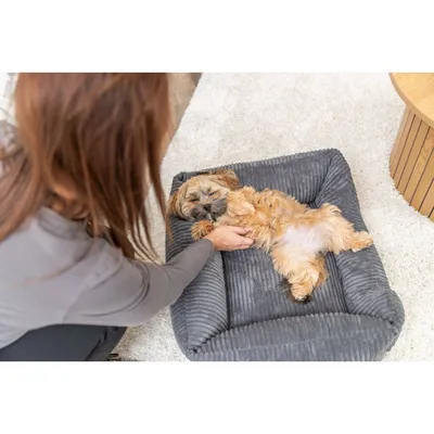 TRIXIE Orthopädisches Cord-Bett für Hunde und Katzen, Memory-Foam TRIXIE Orthopädisches Cord-Bett für Hunde und Katzen, Memory-Foam