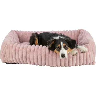 TRIXIE Eckiges Hundebett Lonni aus Plüsch mit Rand in Breitcord-Optik TRIXIE Eckiges Hundebett Lonni aus Plüsch mit Rand in Breitcord-Optik